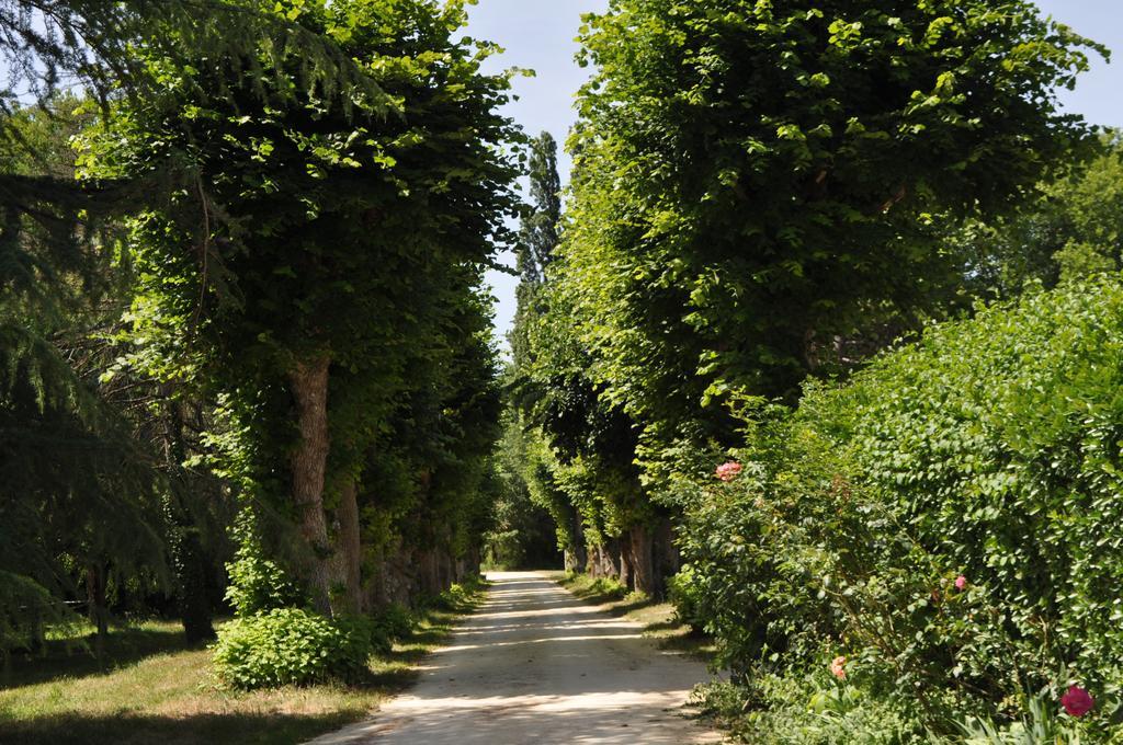 Les Longchamps Bed & Breakfast Neuille Luaran gambar